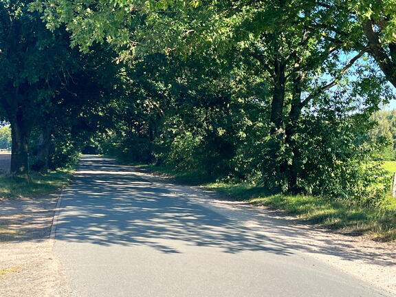 23-09-09 10-30-50 6493